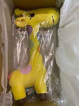 61oWdstV8fL._AC_UF350,