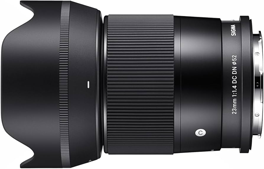 Amazon.com : 23mm F1.4 DC DN for Sony E Mount : Electronics