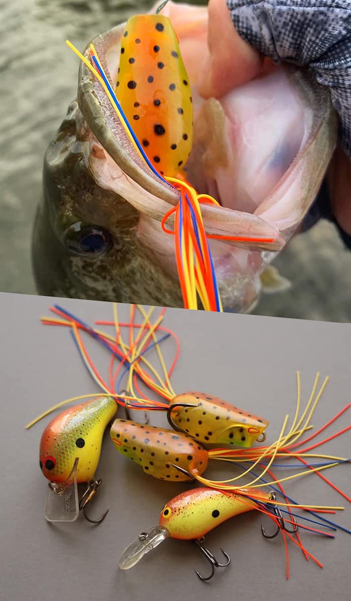 Amazon | ディーフォレスト ミクラ Deep Forest miQra [フロッグ バス