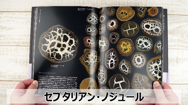 不思議で美しい石の図鑑 | 山田 英春 |本 | 通販 | Amazon