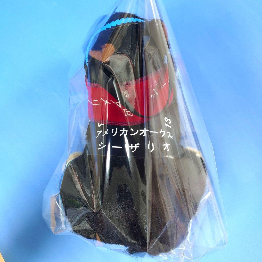 Amazon.co.jp: 【】シーザリオ競馬ぬいぐるみウマ娘アイドルホース馬