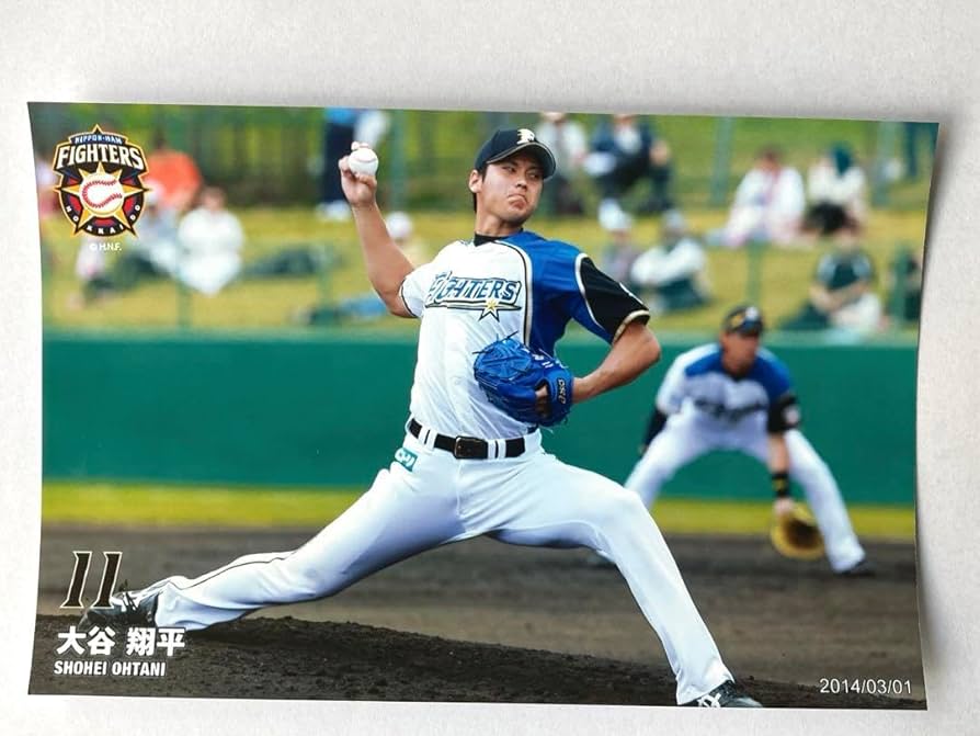 Amazon.co.jp: 北海道日本ハムファイターズ 大谷翔平 ハイライトフォト