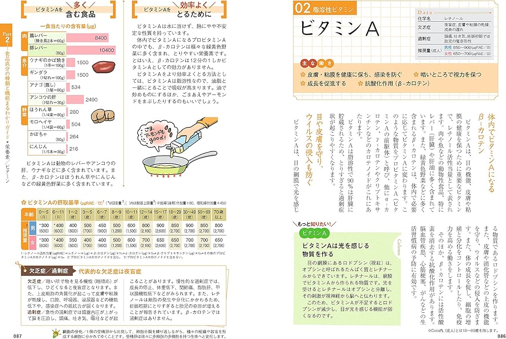 改訂新版 いちばん詳しくて、わかりやすい! 栄養の教科書 | 中嶋洋子