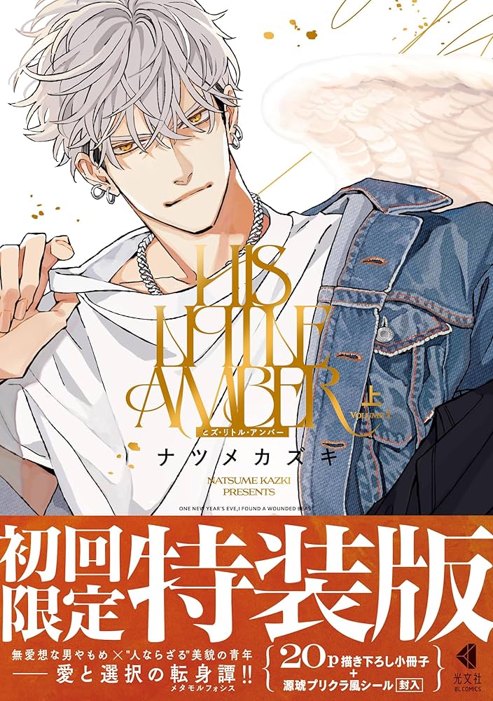 Amazon.co.jp: 初回限定特装版 ヒズ・リトル・アンバー (光文社BL