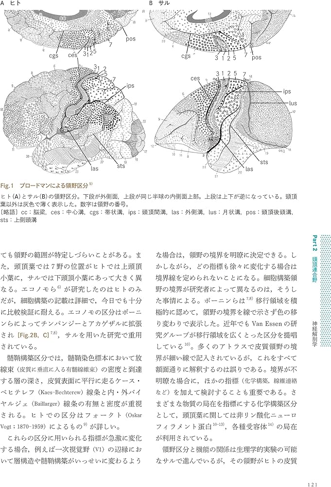 連合野ハンドブック 完全版: 神経科学×神経心理学で理解する大脳機能局