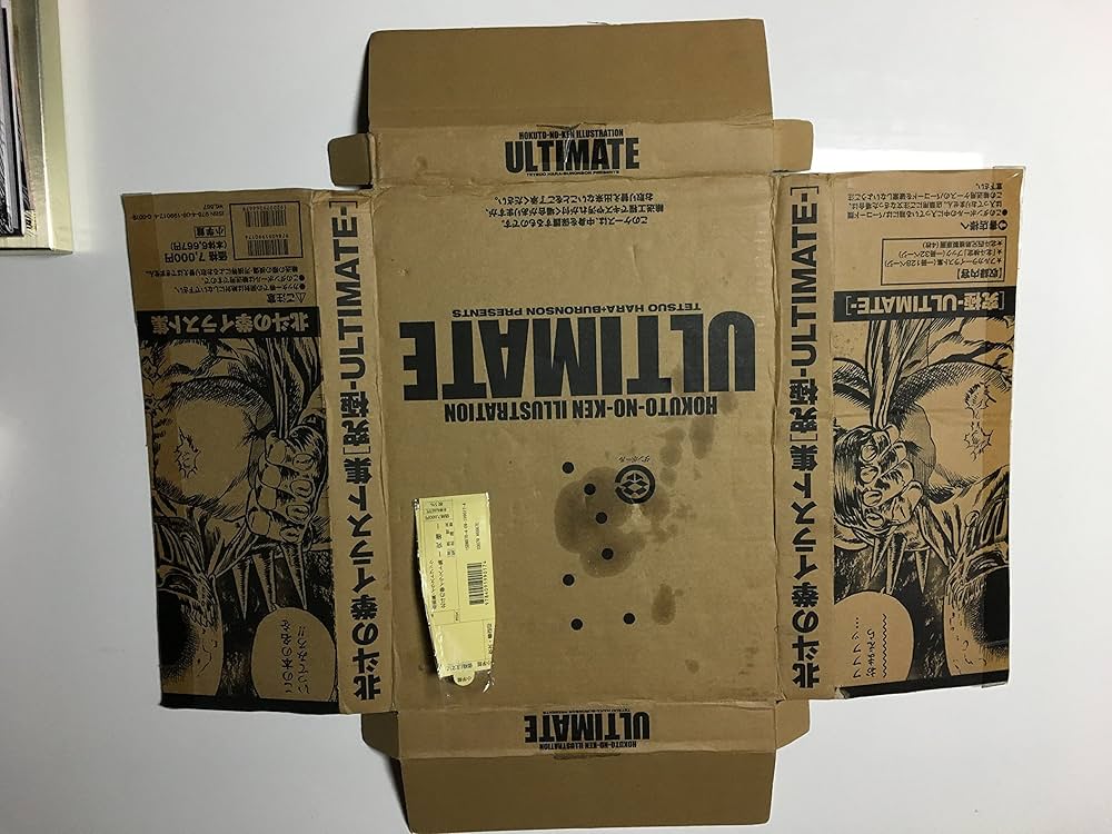 91Ap56D8oAL._AC_UF1000,