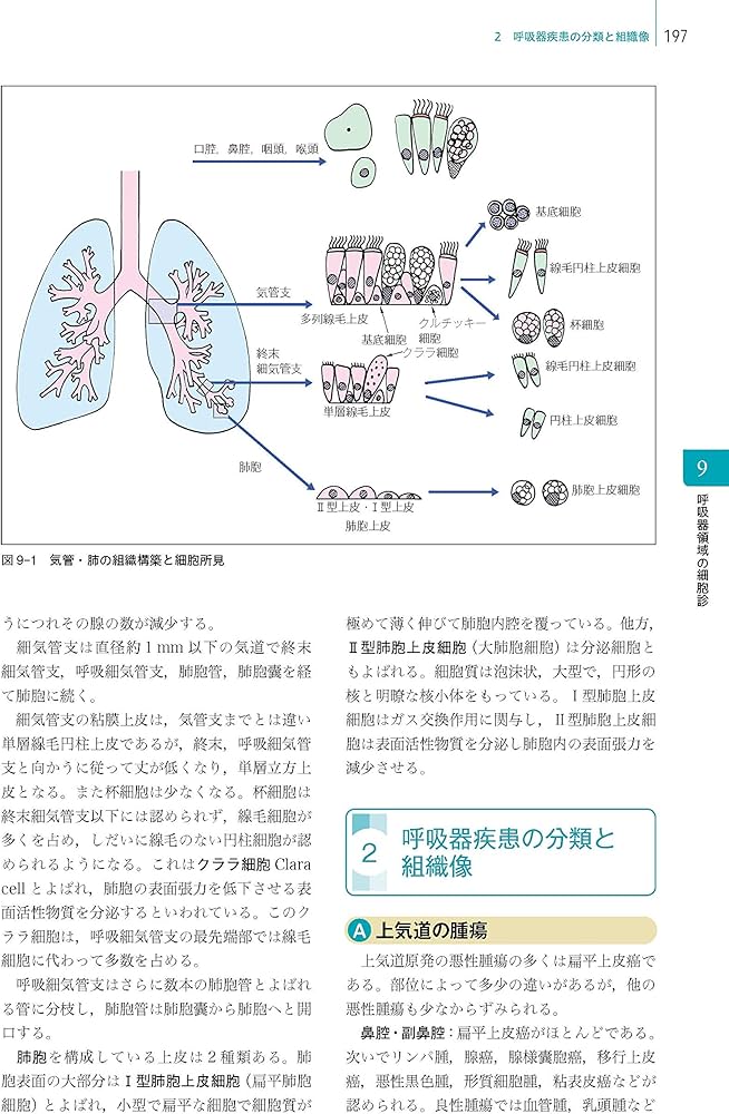 細胞診を学ぶ人のために 第6版 | 坂本 穆彦 |本 | 通販 | Amazon