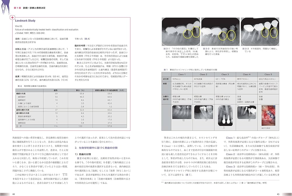 世界基準の臨床歯内療法 | 石井 宏 |本 | 通販 | Amazon