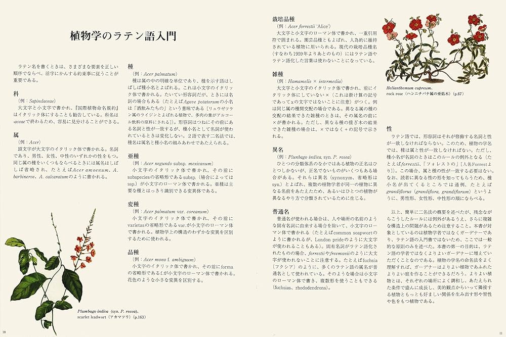 91McU9y89LL._AC_UF1000,