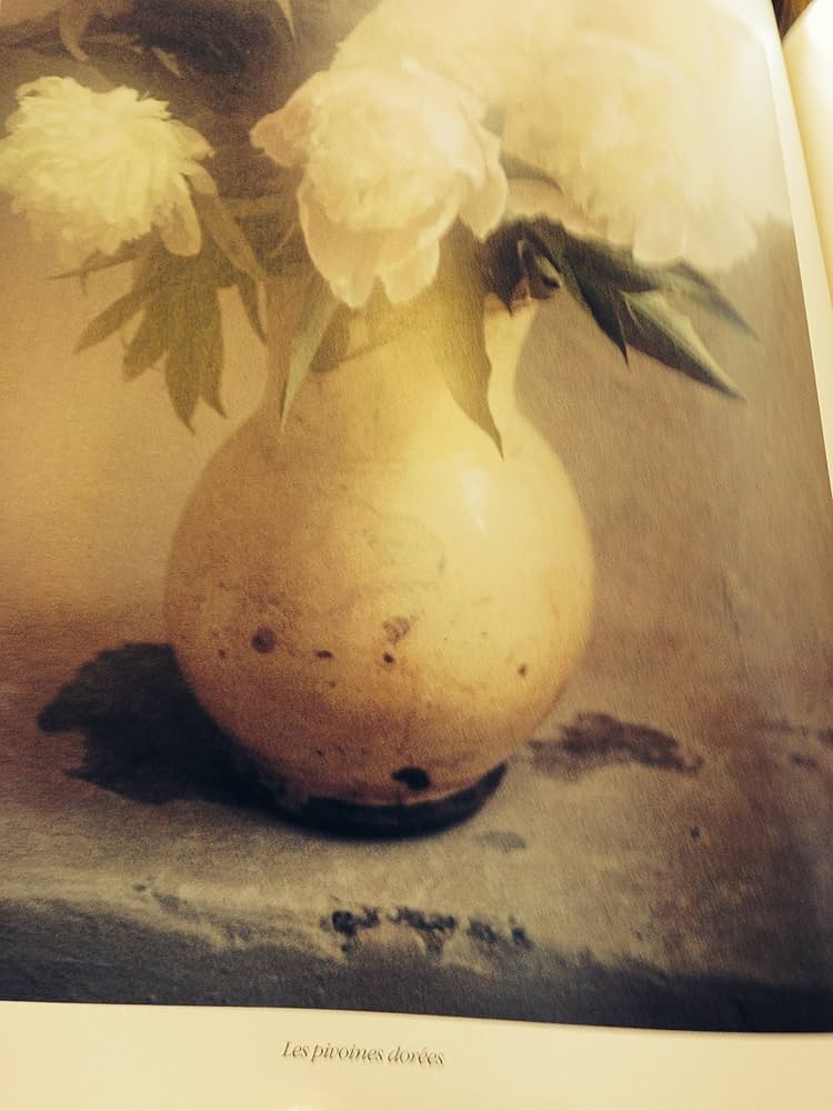 Amazon | David Hamilton Images | Hamilton, David | Direction