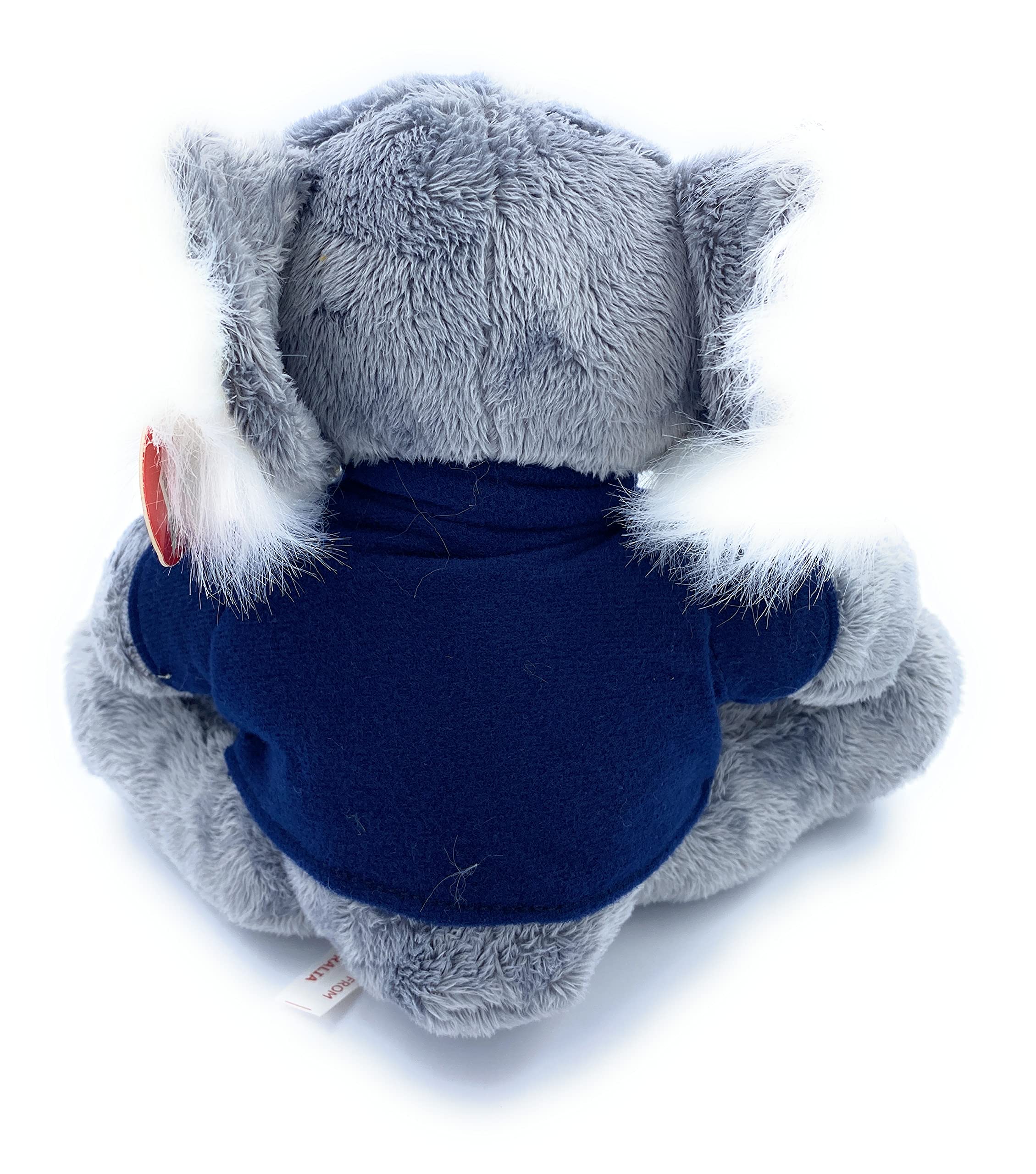 Amazon.co.jp: Aeisage コアラぬいぐるみ - 6インチ プラッシュ