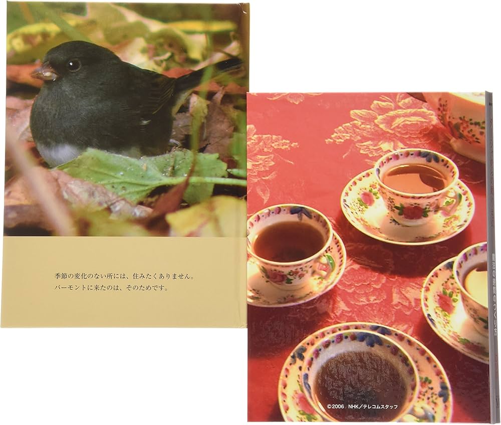 NHKターシャからの贈りもの魔法の時間のつくり方 永久保存ボックス