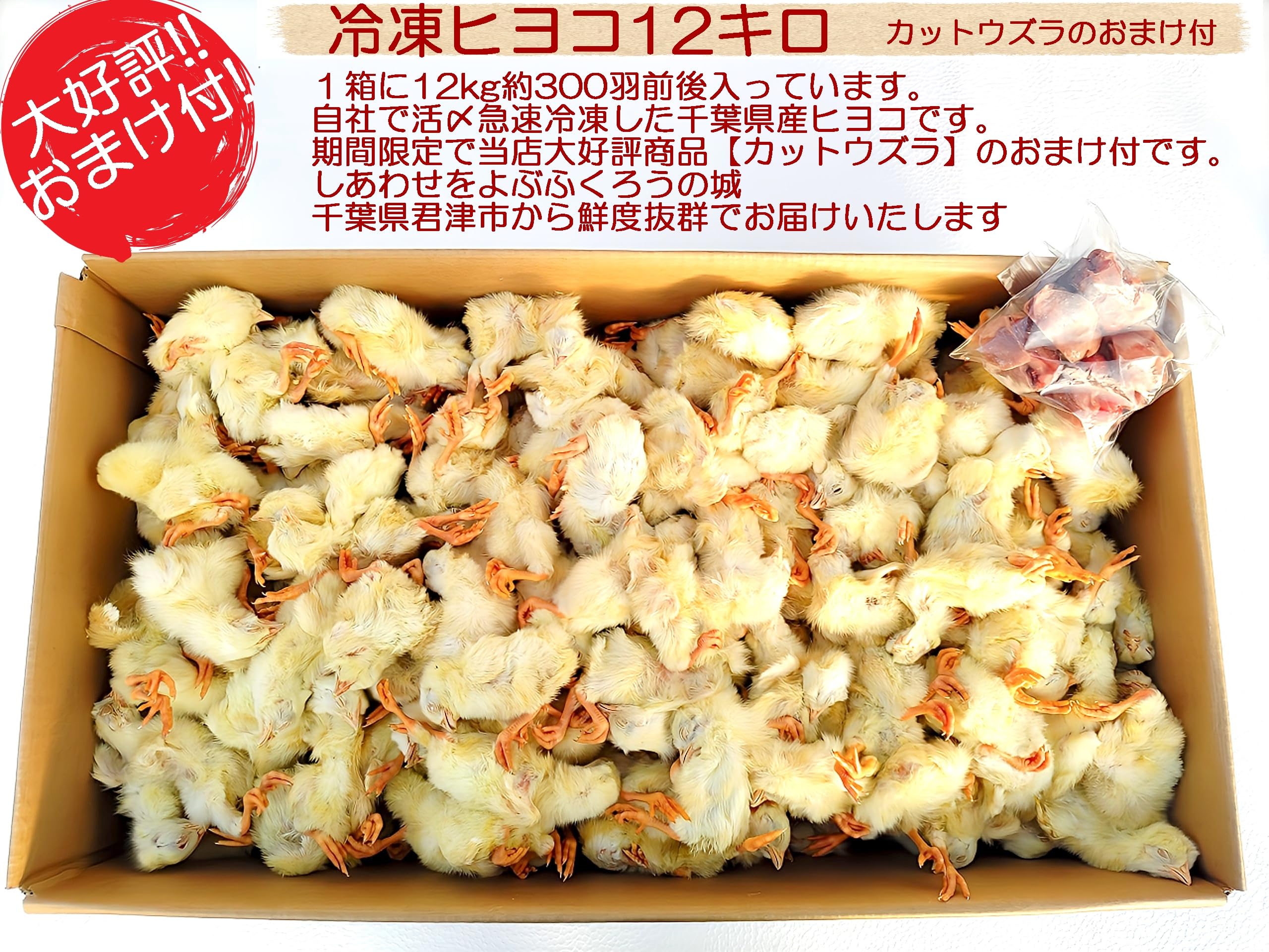 業界最安値‼️冷凍ヒヨコ300羽 業界最安値‼️冷凍ヒヨコ300羽 【公式通販】