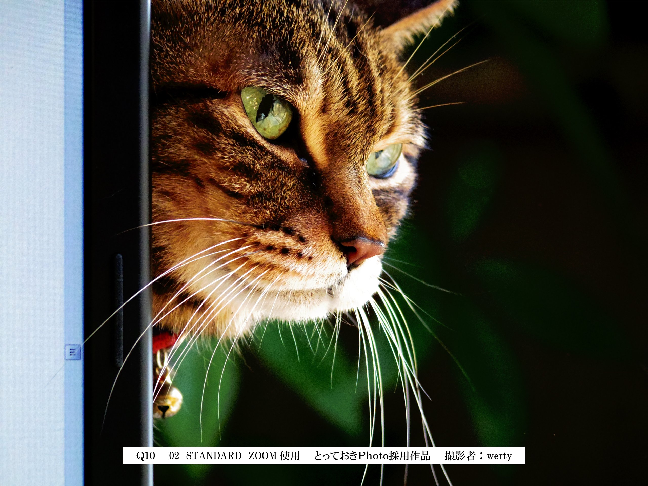 Amazon.co.jp: PENTAX デジタルミラーレス一眼 Q10 ダブルズームキット