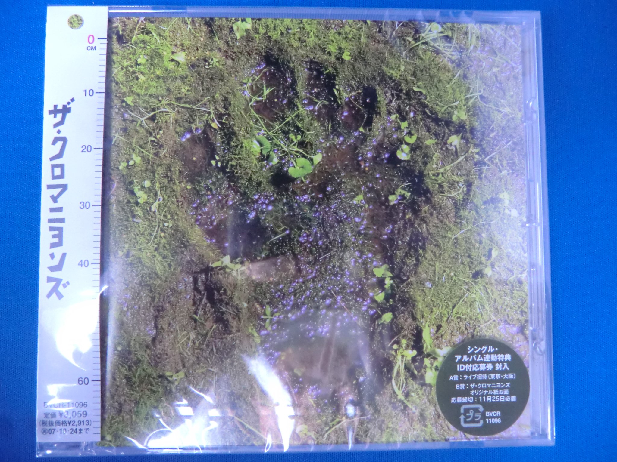 Amazon.co.jp: ザ・クロマニヨンズ (通常盤): ミュージック