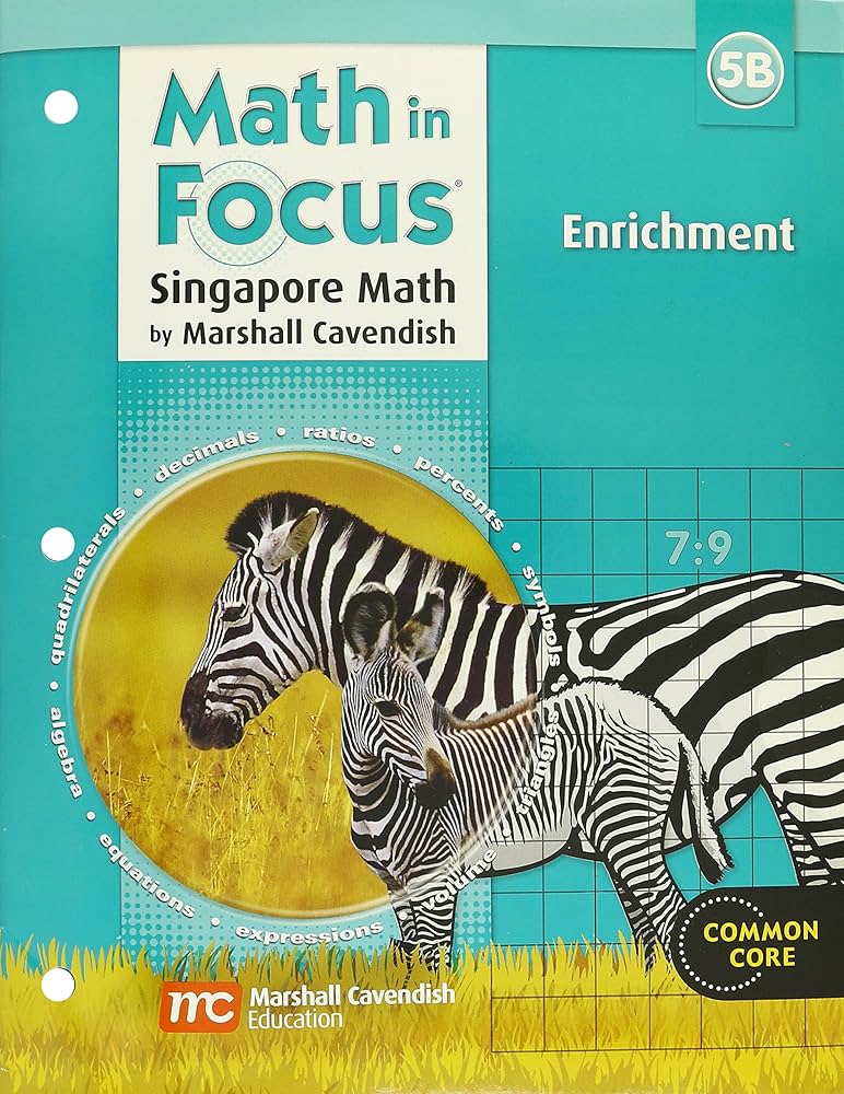 Enrichment Workbook Grade 5: Book B (Math in Focus: Singapore Math