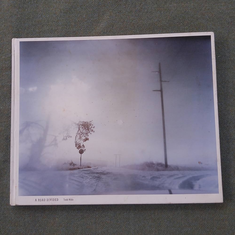 Amazon.com: A Road Divided: 9781590052662: Hido, Todd: Books