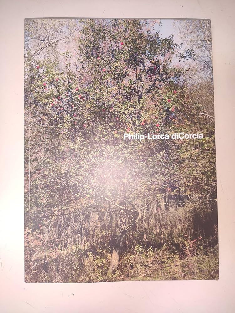 Amazon.com: Philip-Lorca diCorcia: 9783866788350: Dohm, Katharina