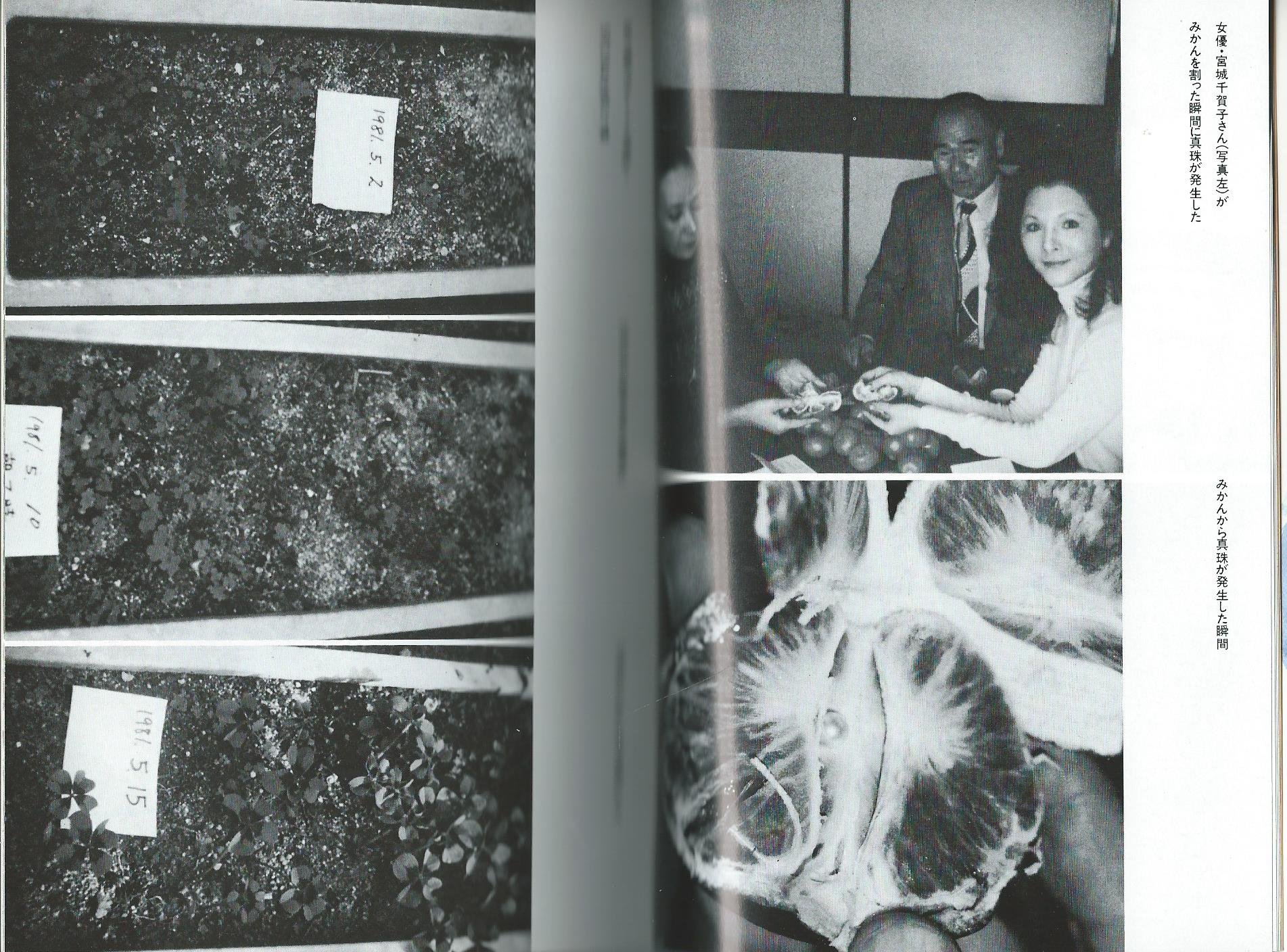 Amazon.co.jp: 政木 和三: 本、バイオグラフィー、最新アップデート