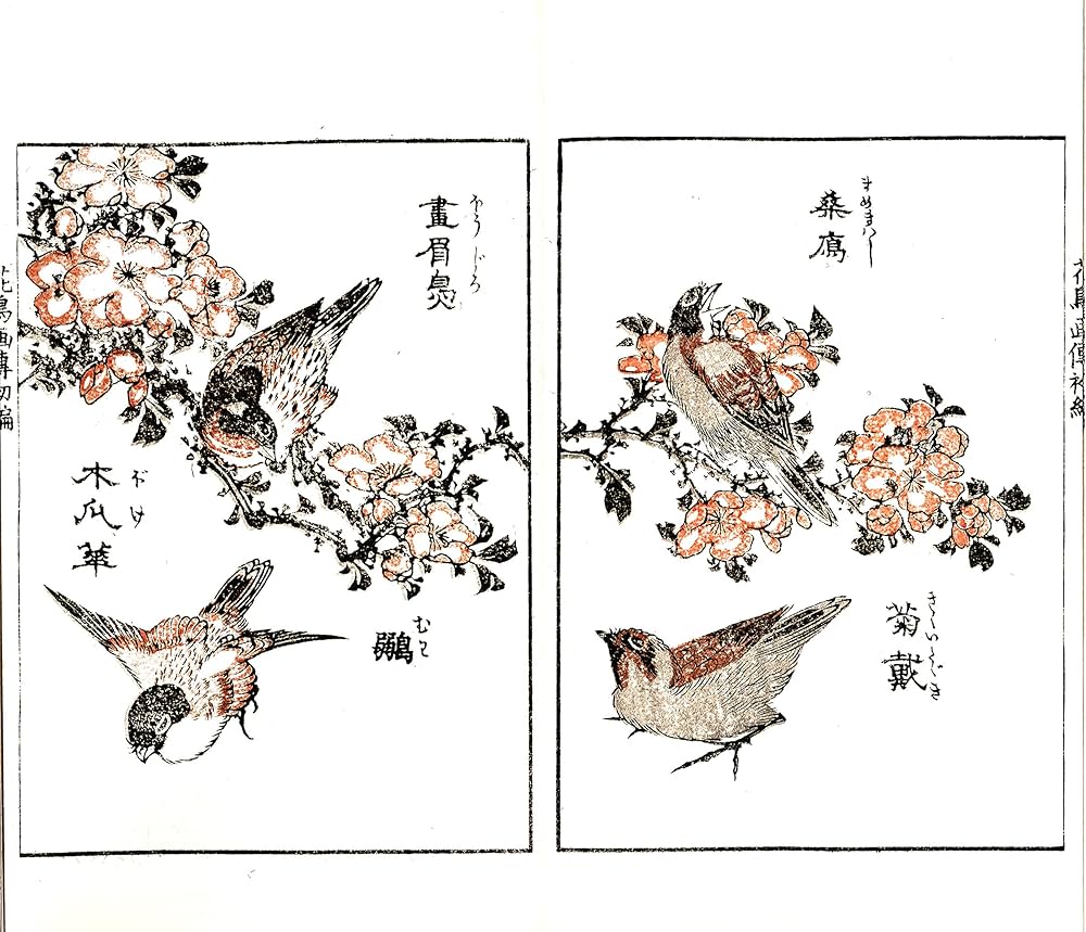 花鳥画伝 全2冊 (北斎木版本叢書) | 葛飾 戴斗 |本 | 通販 | Amazon