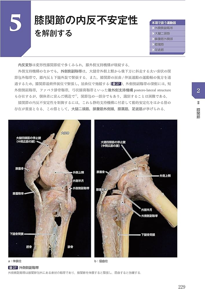 運動療法その前に! 運動器の臨床解剖アトラス: 9784260043137: Books