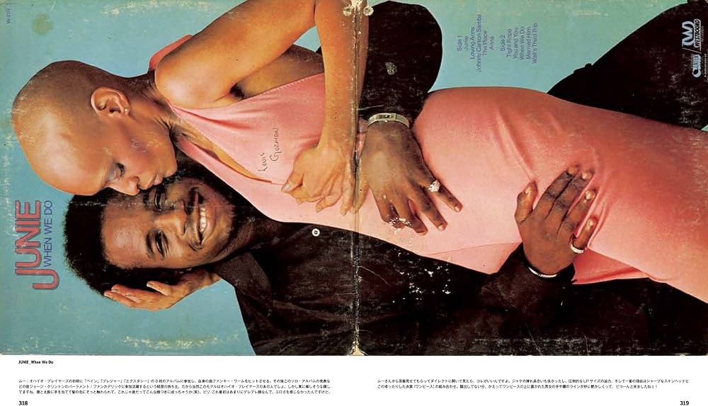 Amazon.co.jp: THE BEST OF EROTIC JACKET (P-Vine Books) : テリー