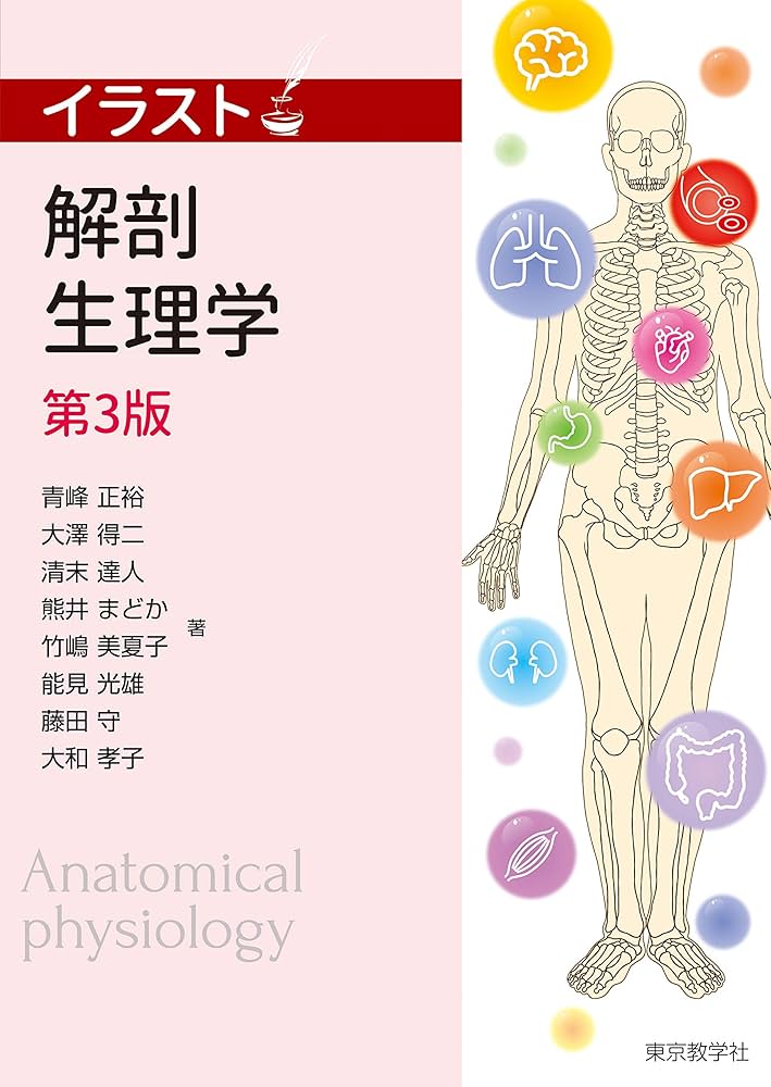 解剖生理学 (イラスト) | 青峰 正裕, 大澤 得二, 清末 達人, 熊井