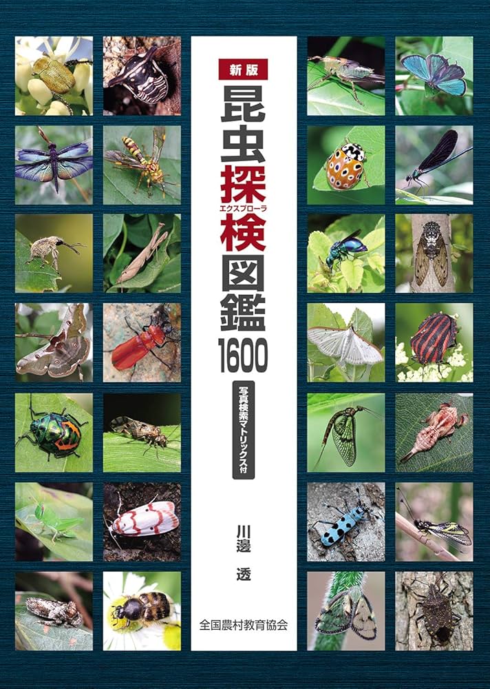 新版 昆虫探検図鑑1600 | 川邊透 |本 | 通販 | Amazon