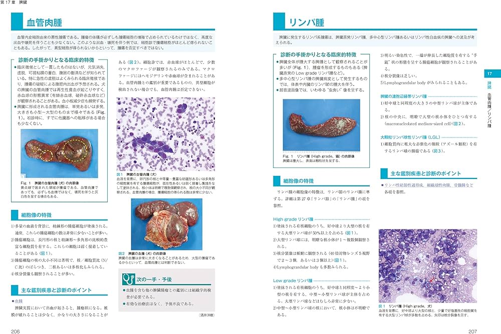 819ouiCeIQL._AC_UF1000,