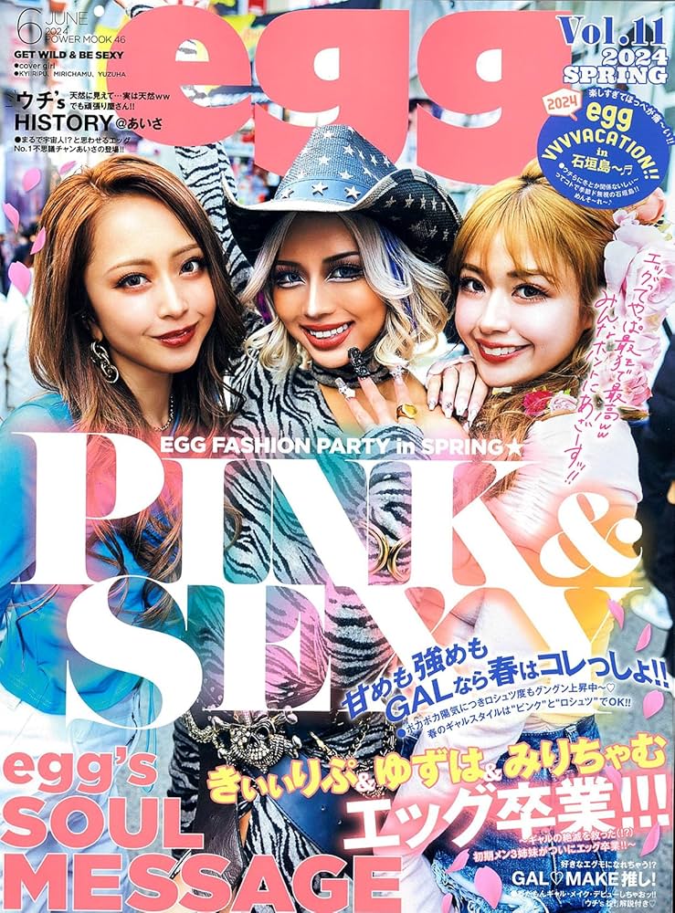 egg vol.11 (POWER MOOK) |本 | 通販 | Amazon