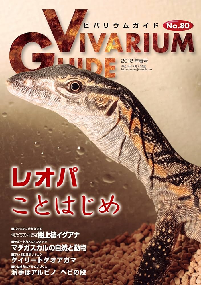 ビバリウムガイド No.80 レオパことはじめ |本 | 通販 | Amazon