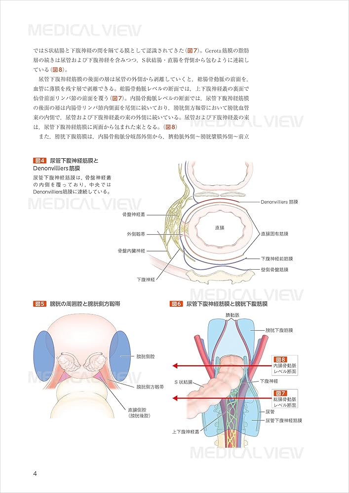 究める鏡視下膀胱全摘術・尿路変向術 Level up LRC, RARC | 三木 淳