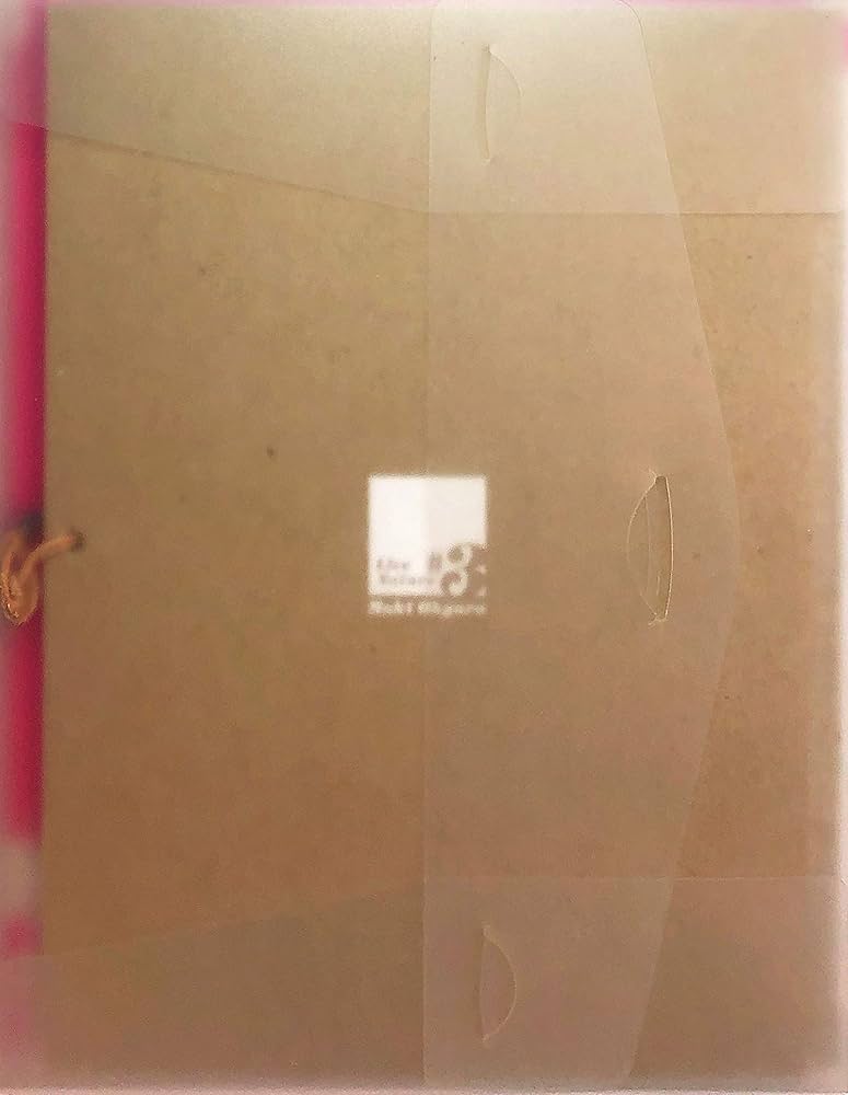 大黒摩季 Maki Ohguro Live Nature #3 Shine or Rain パンフレット | B