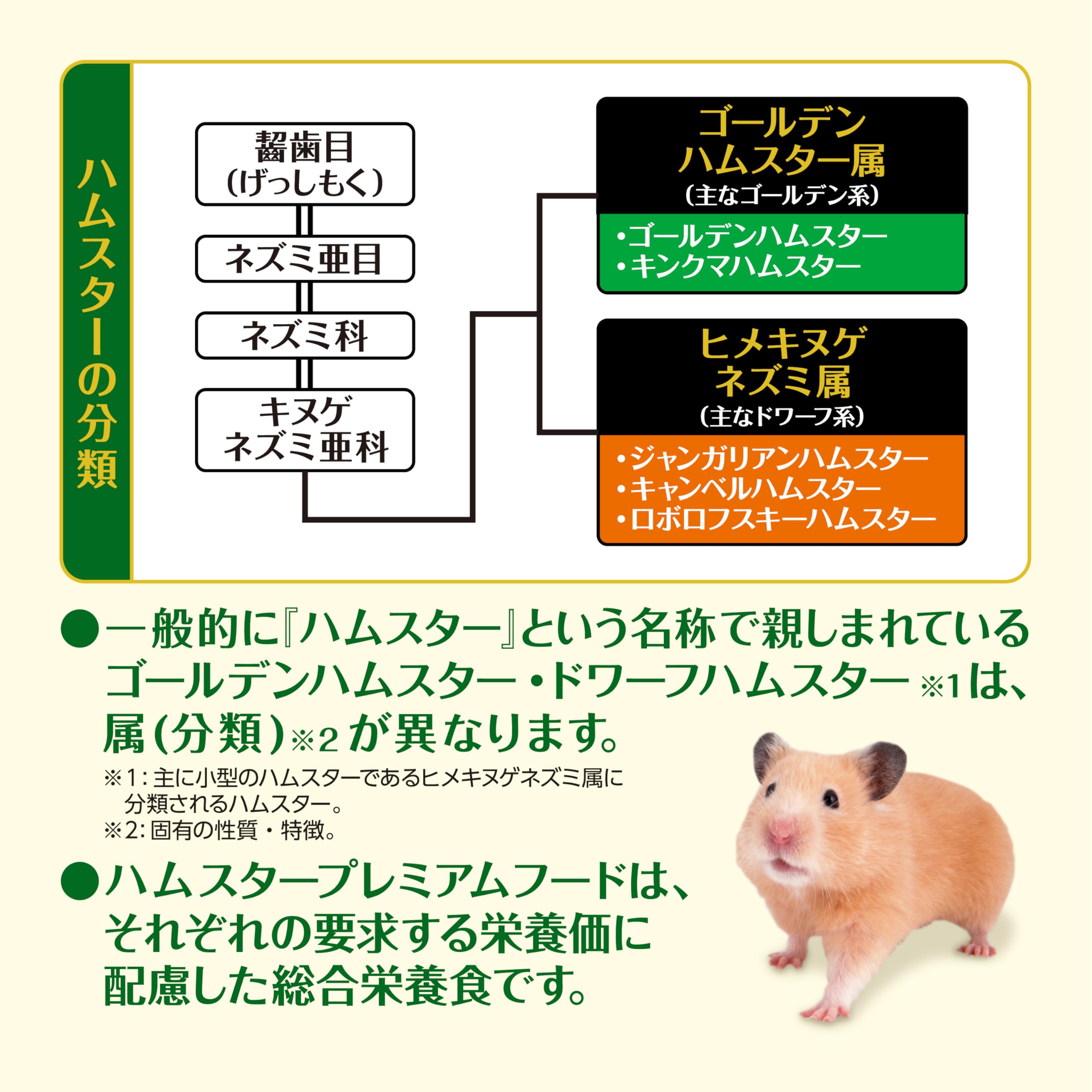 Amazon | GEX ジェックス ハムスタープレミアムフード ゴールデン専用