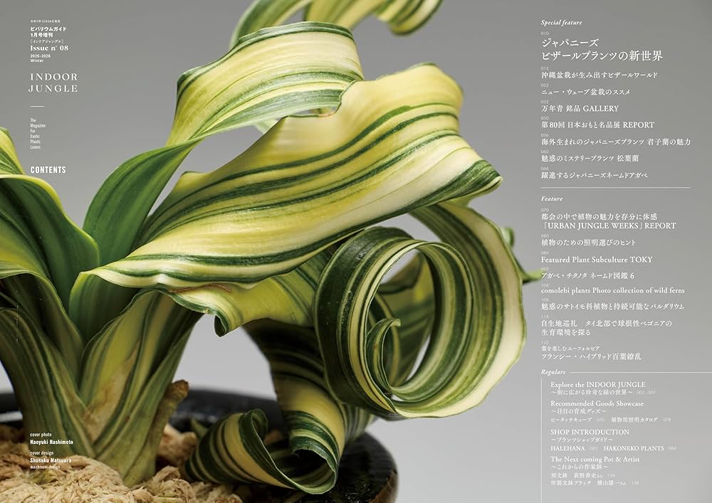 INDOOR JUNGLE （インドアジャングル）08 ジャパニーズビザール