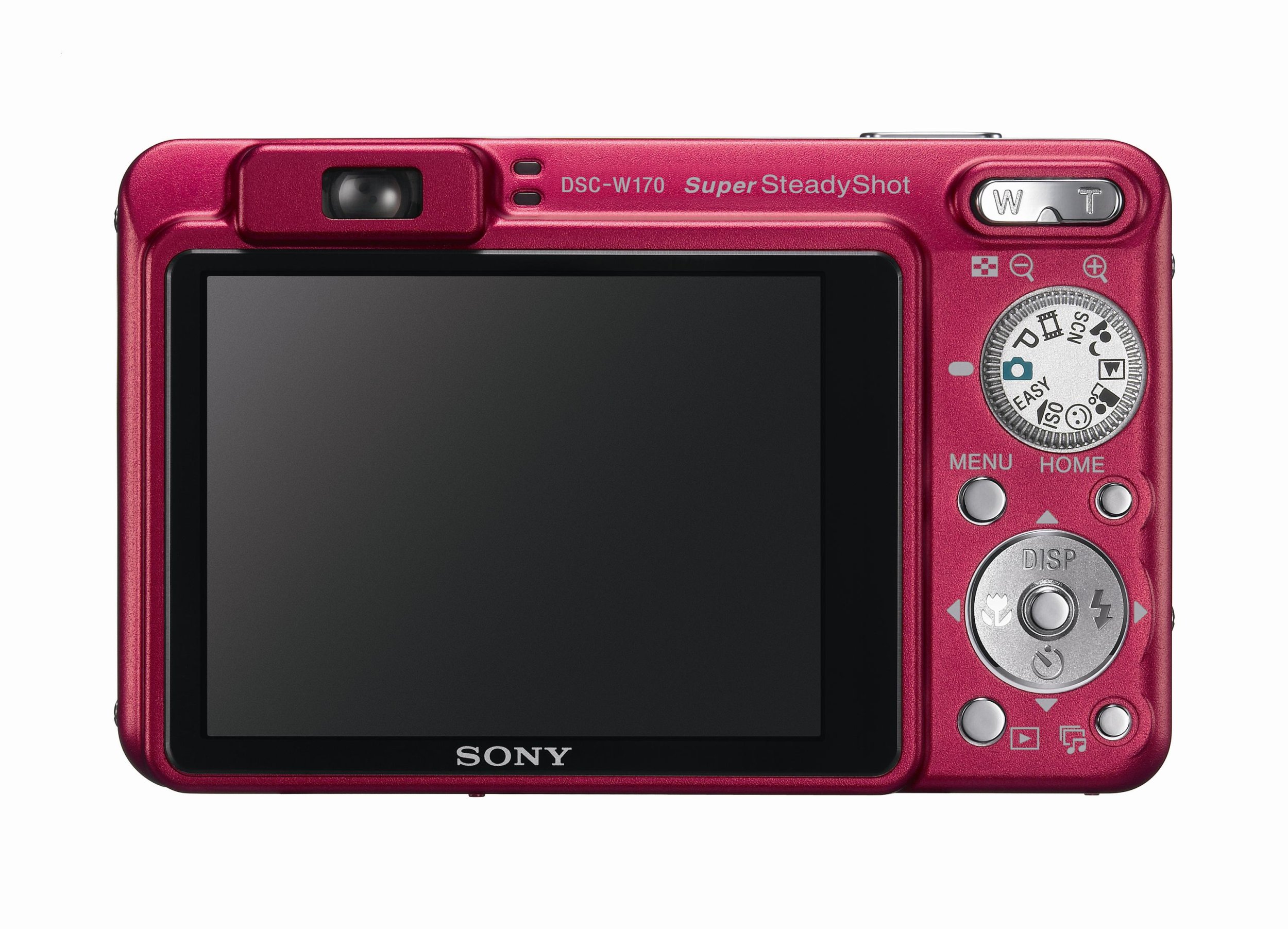 Amazon.com : Sony Cybershot DSCW170/R 10.1MP Digital Camera with