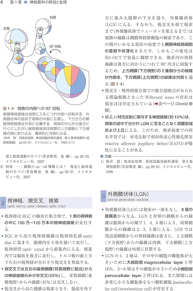 Amazon.co.jp: 神経眼科学を学ぶ人のために 第3版 : 三村 治: 本