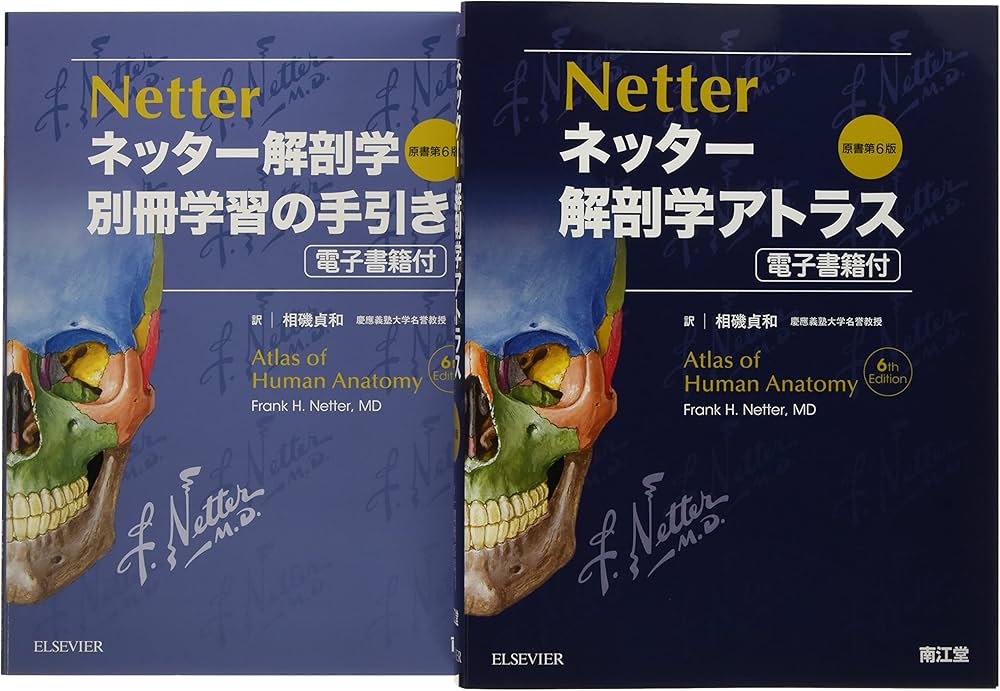 ネッター解剖学 セット版(電子書籍付)アトラス・別冊学習の手引き原書