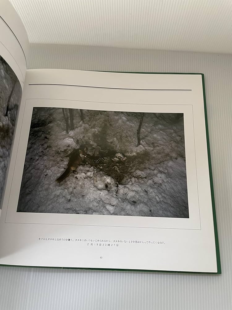 死: 宮崎学写真集 | 宮崎 学 |本 | 通販 | Amazon