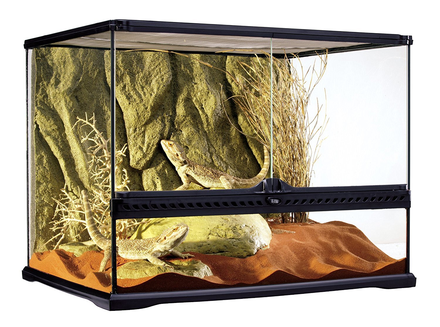 Amazon | エキゾテラ GEX EXOTERRA グラステラリウム 6045 PT2610