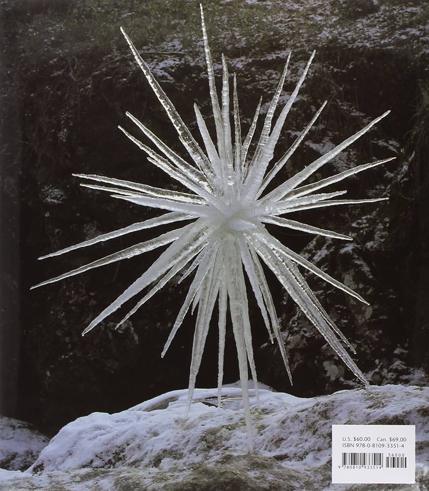 Andy Goldsworthy: A Collaboration with Nature: Goldsworthy, Andy