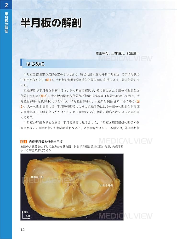 半月板のすべて−解剖から縫合手術,再生治療まで | 宗田 大, 関矢 一郎