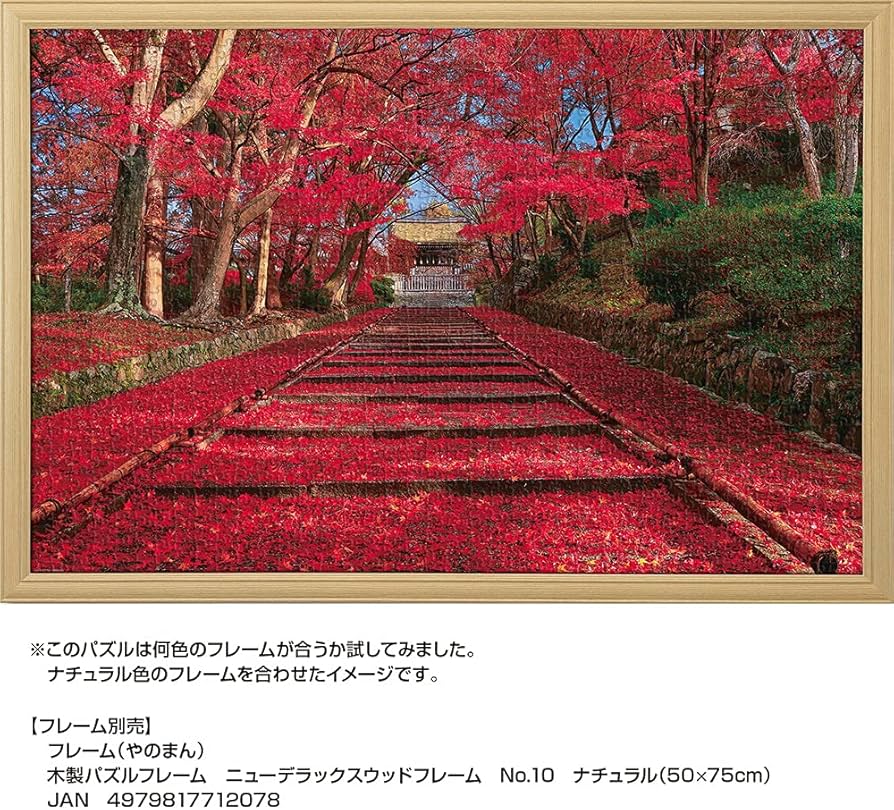 Amazon | 1000ピース ジグソーパズル 秋色の紅葉参道 (京都) (50x75cm