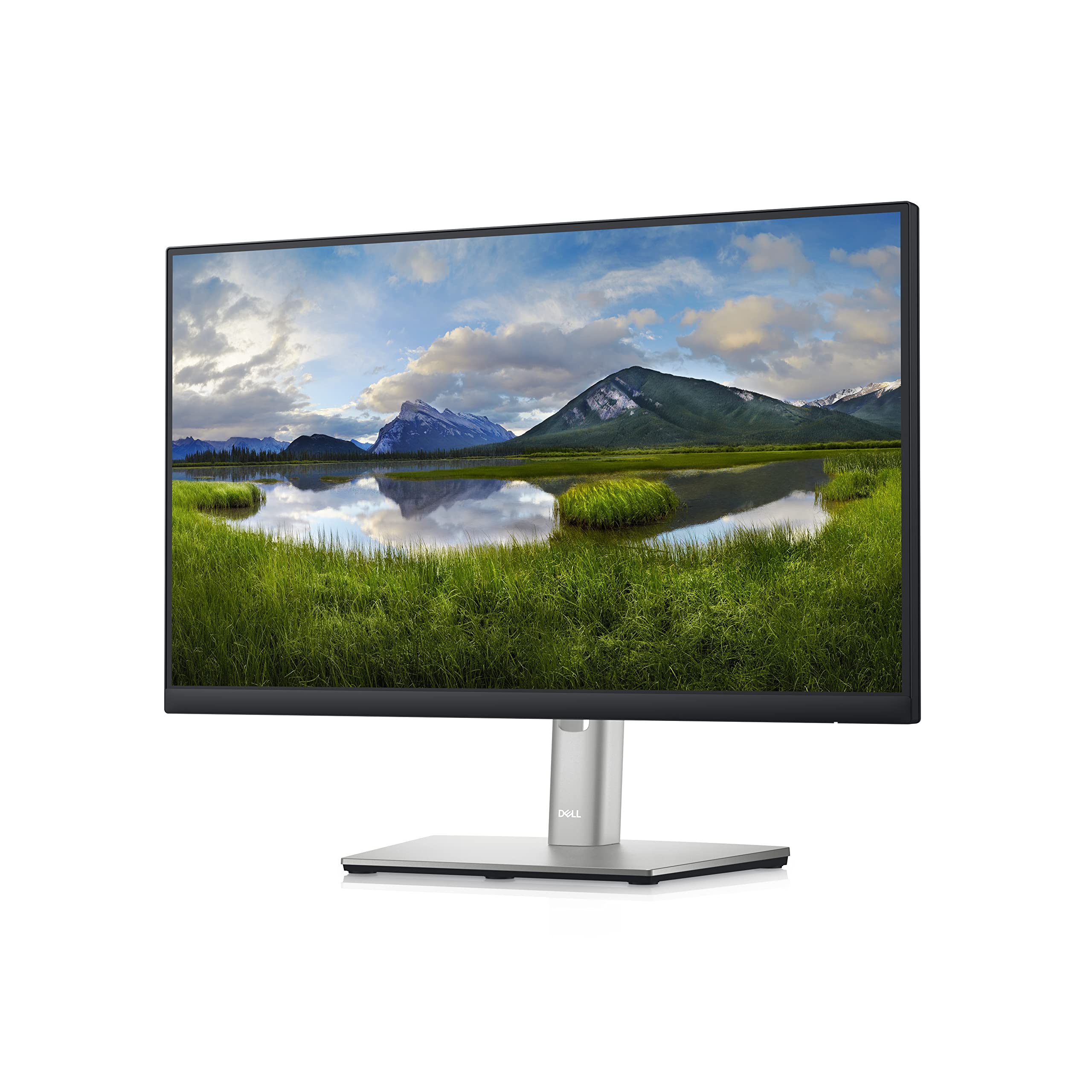 Amazon.com: Dell P2222H 21.5