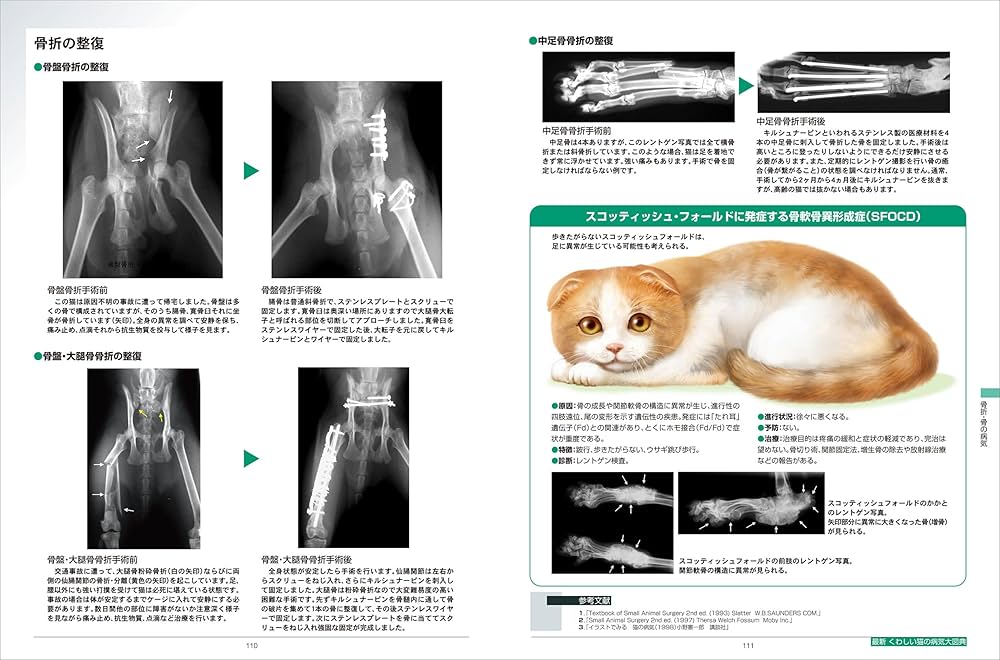 Amazon.co.jp: 最新 くわしい猫の病気大図典: 豊富な写真とイラストで