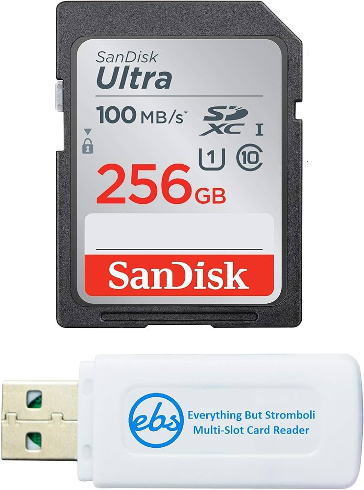 Amazon.com: SanDisk SD Ultra 256GB Memory Card for Camera