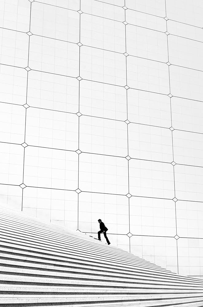 Amazon | Metropolis | Schaller, Alan | Reference