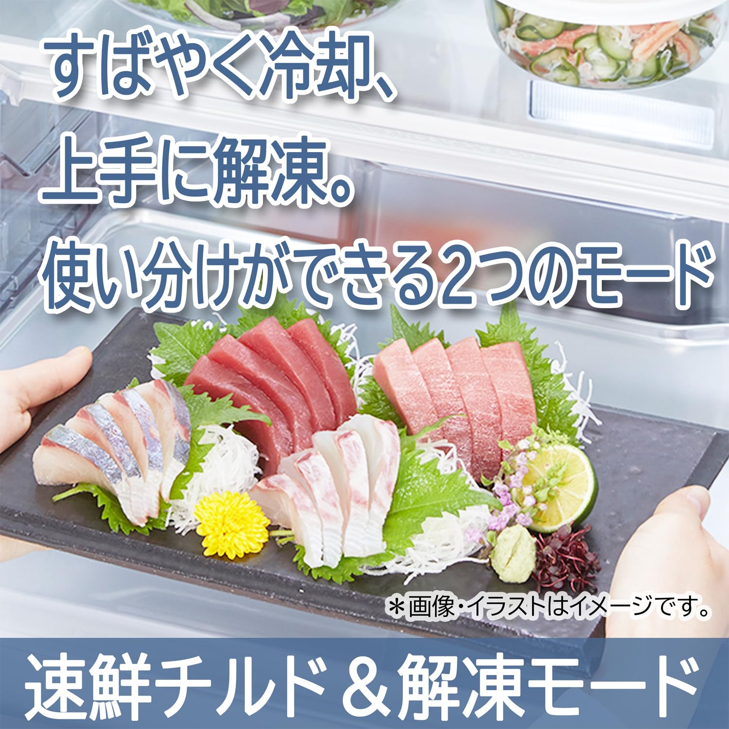 Amazon | 東芝 冷蔵庫 幅68.5㎝ 551L 両開き GR-V550FH(EC) サテン