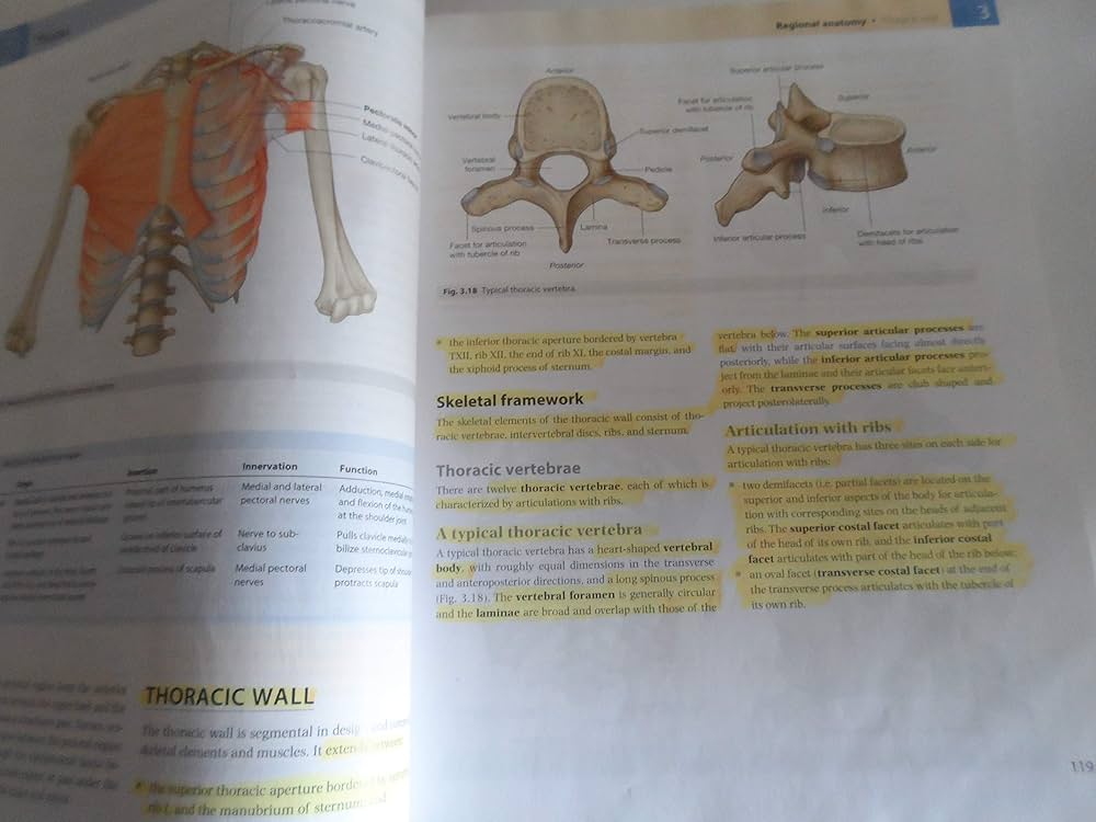 Amazon | Gray's Anatomy for Students: with STUDENT CONSULT Online