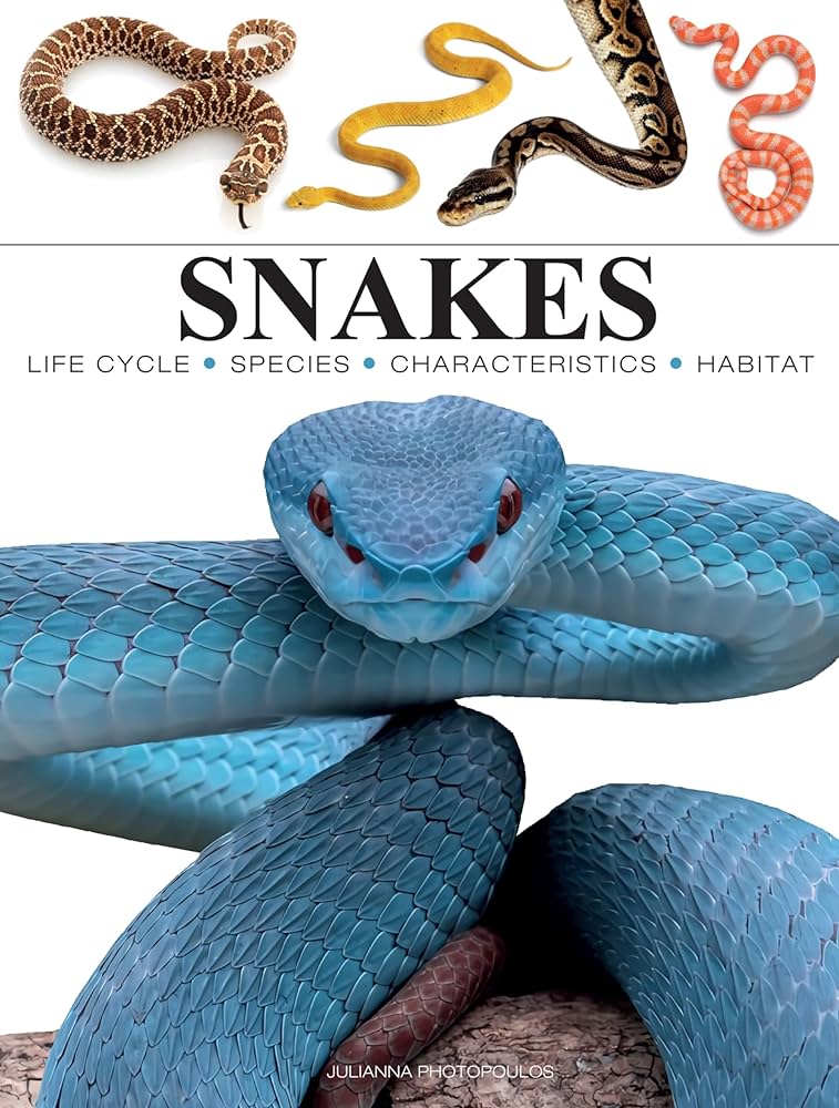 Snakes (Mini Encyclopedias): Photopoulos, Julianna: 9781838864446